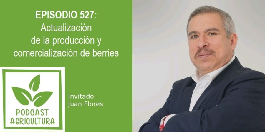 Episodio 527: Actualización de la producción y comercialización de berries con Juan Flores