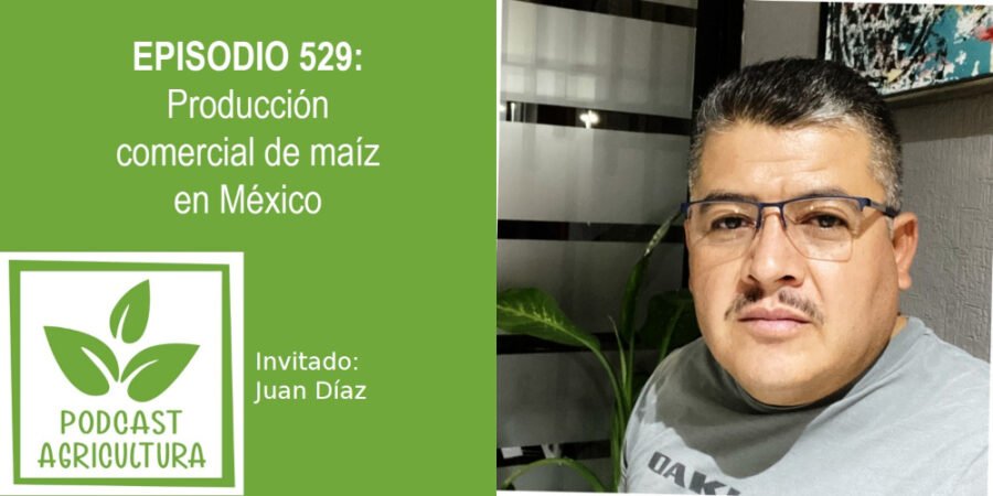Episodio 529: Producción comercial de maíz en México con Juan Díaz