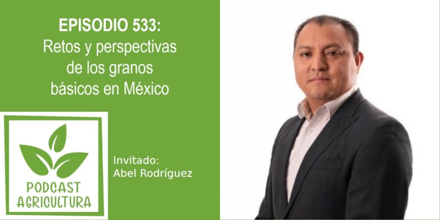 Episodio 533: Retos y perspectivas de los granos básicos en México con Abel Rodríguez