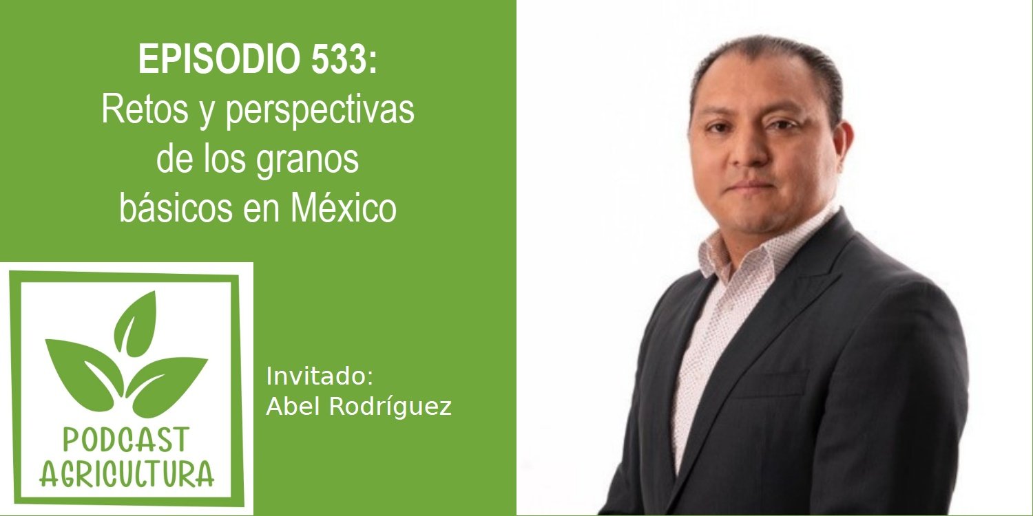 Retos y perspectivas de los granos básicos en México con Abel Rodríguez