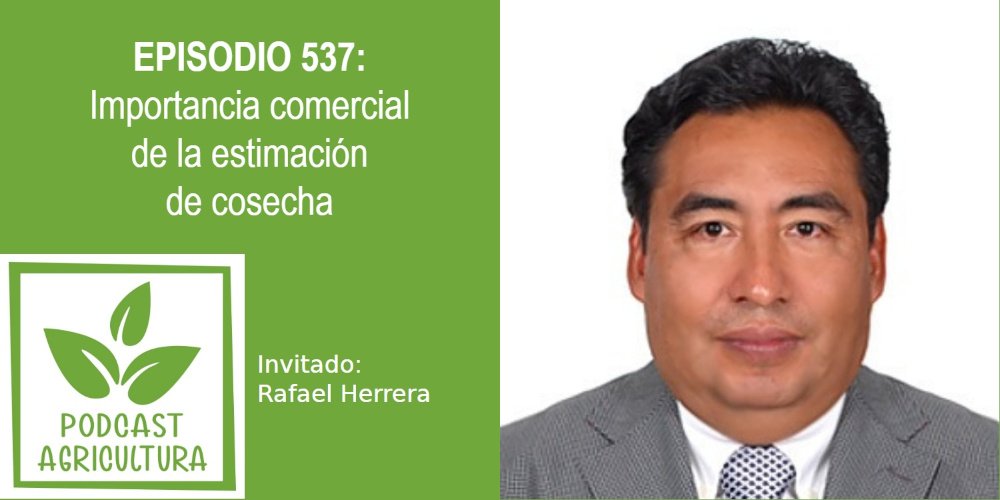 Episodio 537: Importancia comercial de la estimación de cosecha con Rafael Herrera