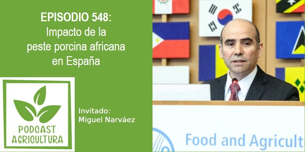Impacto de la peste porcina africana en España con Miguel Narváez