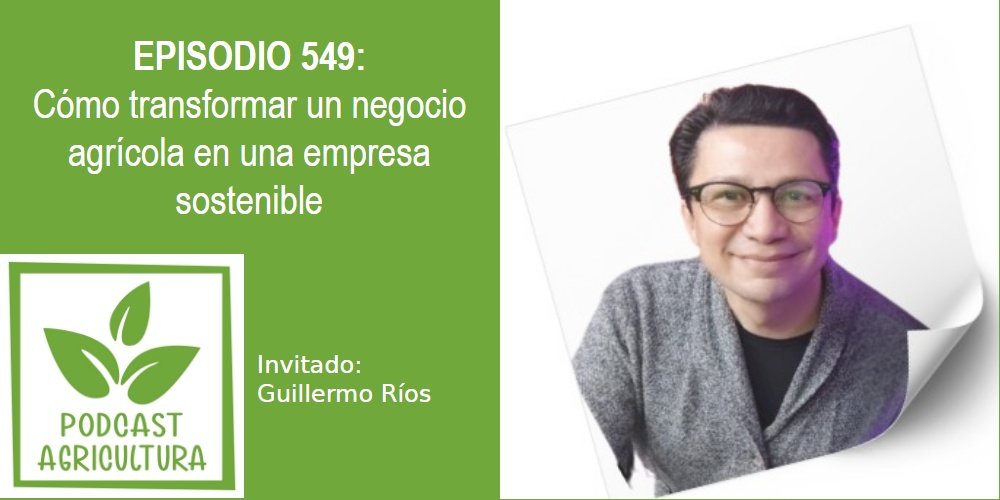 Cómo transformar un negocio agrícola en una empresa sostenible con Guillermo Ríos