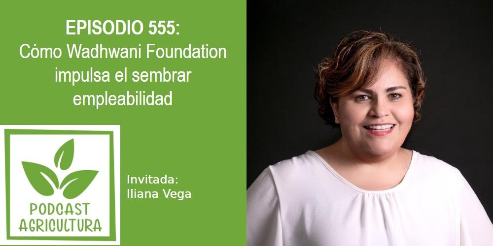 Episodio 555: Cómo Wadhwani Foundation impulsa el sembrar empleabilidad con Iliana Vega