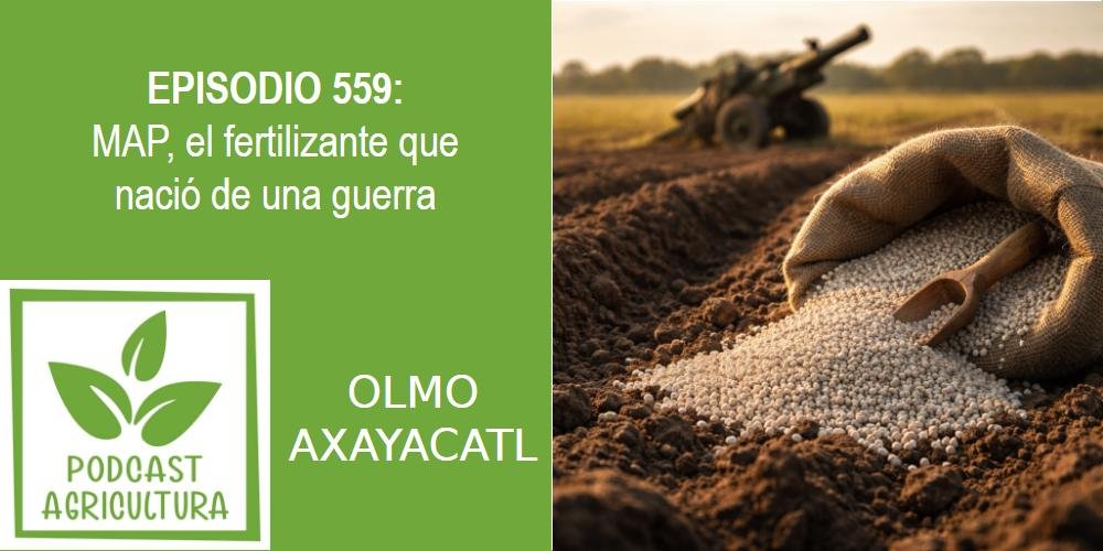 MAP, el fertilizante que nació de una guerra