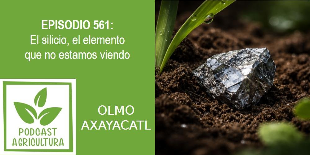 Episodio 561: El silicio, el elemento que no estamos viendo