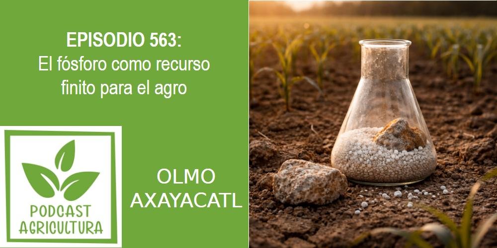 Episodio 563: El fósforo como recurso finito para el agro