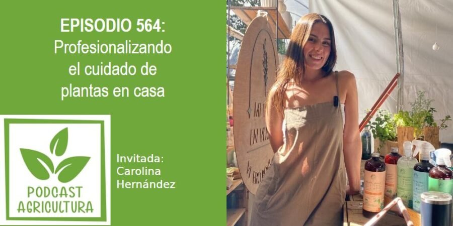Episodio 564: Profesionalizando el cuidado de plantas en casa con Carolina Hernández