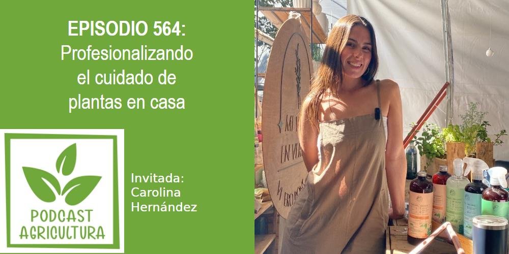 Episodio 564: Profesionalizando el cuidado de plantas en casa con Carolina Hernández