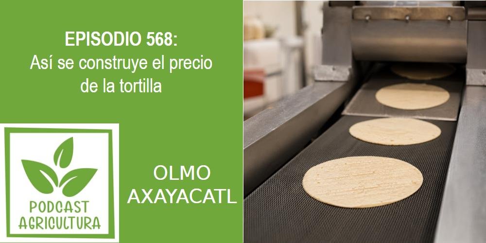 Episodio 568: Así se construye el precio de la tortilla