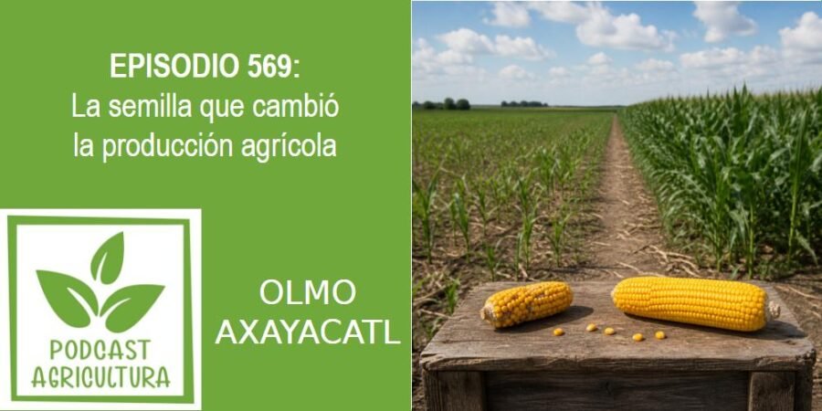 Episodio 569: La semilla que cambió la producción agrícola