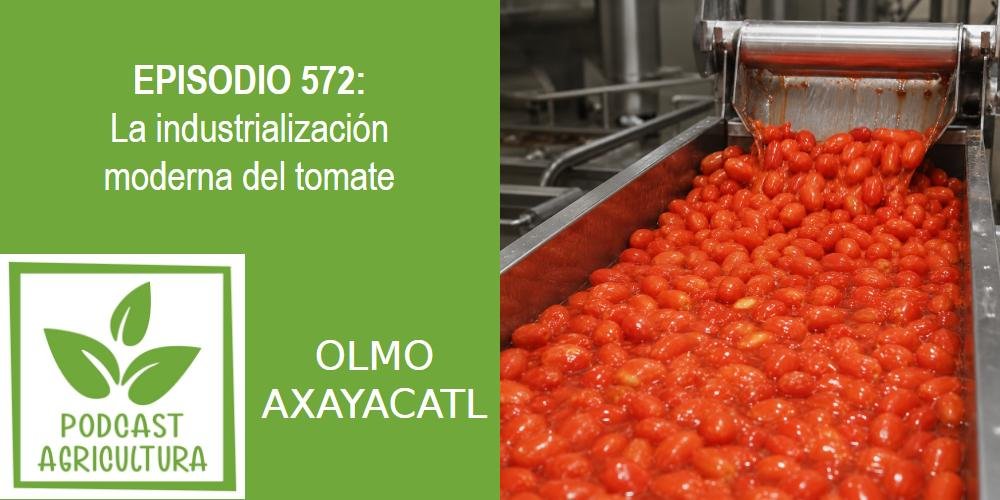 Episodio 572: La industrialización moderna del tomate