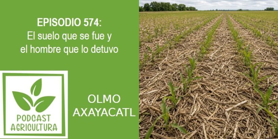 Episodio 574: El suelo que se fue y el hombre que lo detuvo