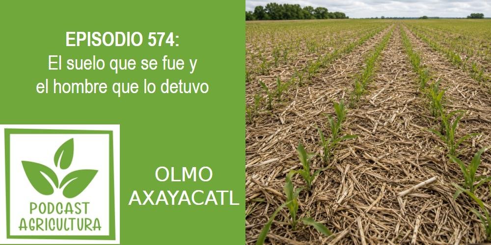 Episodio 574: El suelo que se fue y el hombre que lo detuvo