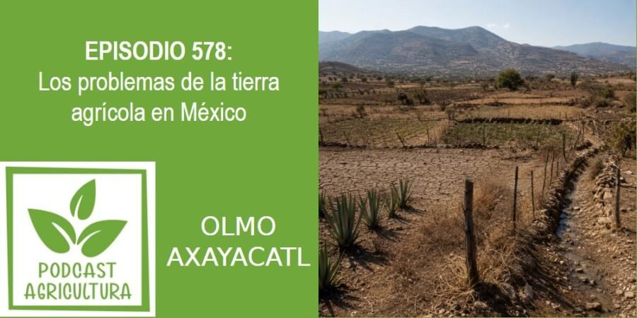 Episodio 578: Los problemas de la tierra agrícola en México