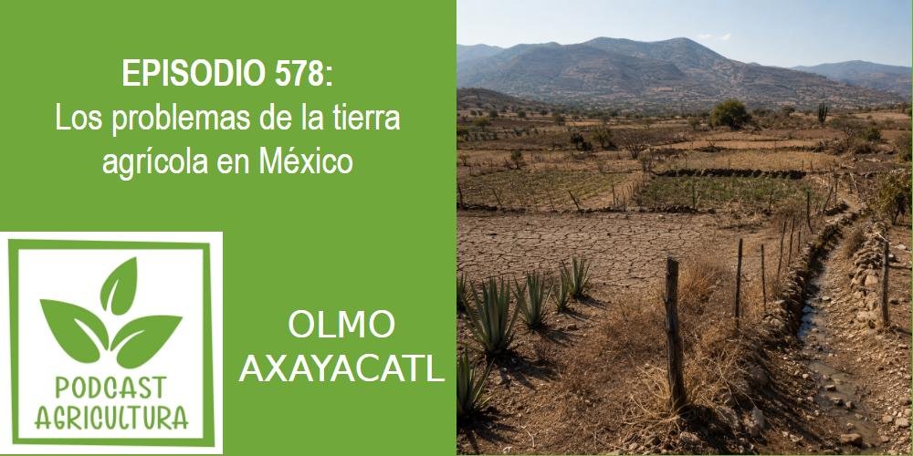 Episodio 578: Los problemas de la tierra agrícola en México