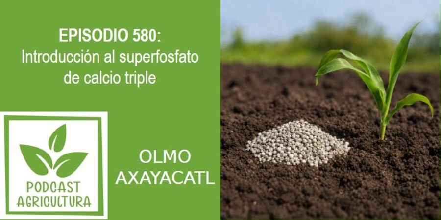 Episodio 580: Introducción al superfosfato de calcio triple