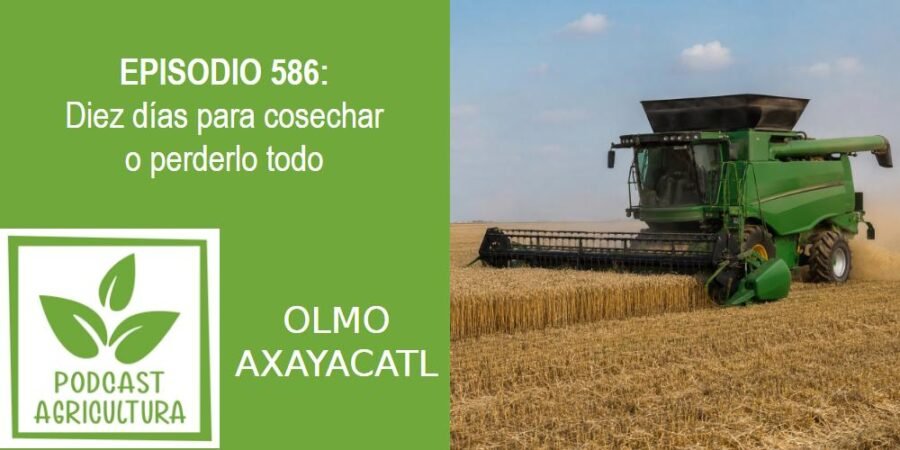 Episodio 586: Diez días para cosechar o perderlo todo