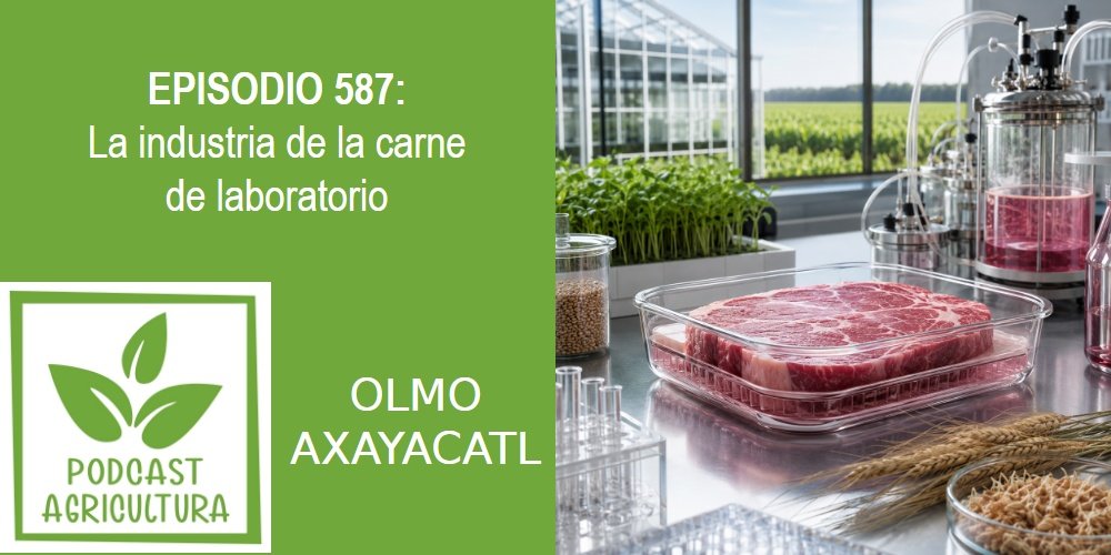 Episodio 587: La industria de la carne de laboratorio