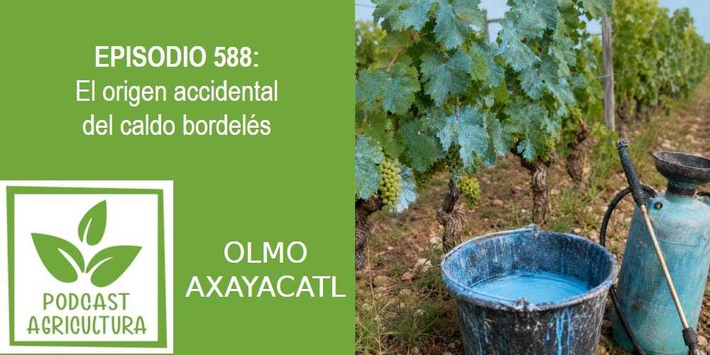 Episodio 588: El origen accidental del caldo bordelés