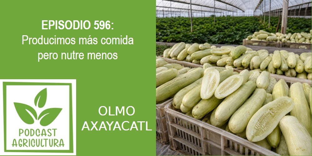 Episodio 596: Producimos más comida pero nutre menos