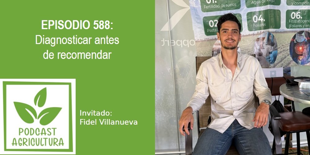 Episodio 598: Diagnosticar antes de recomendar con Fidel Villanueva