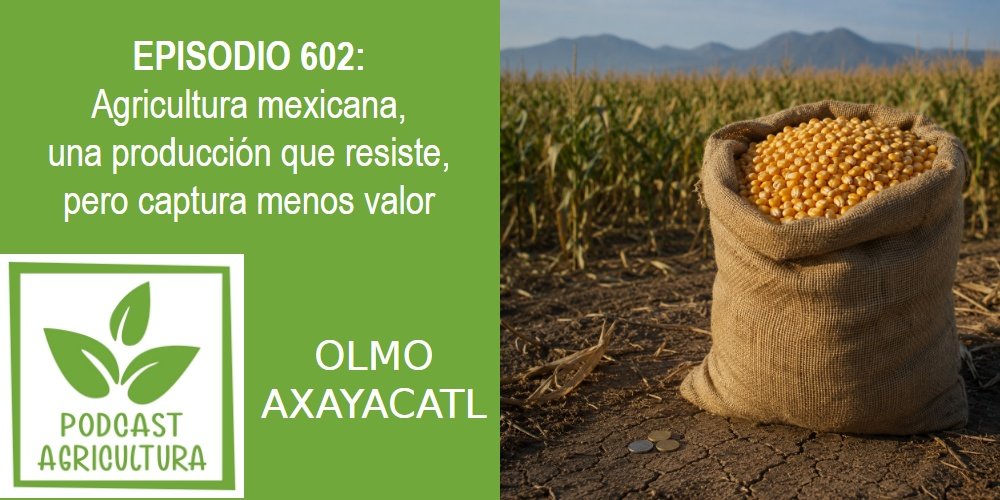 Episodio 602: Agricultura mexicana, una producción que resiste, pero captura menos valor