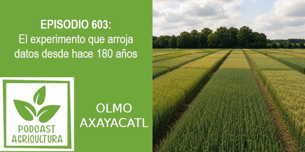 Episodio 603: El experimento que arroja datos desde hace 180 años