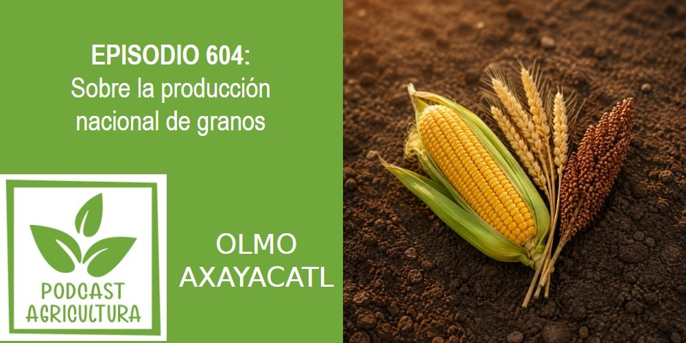 Episodio 604: Sobre la producción nacional de granos