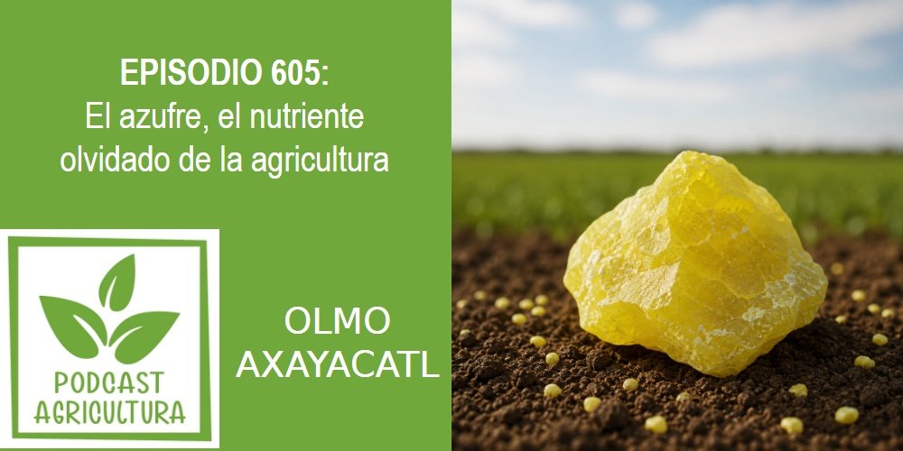 Episodio 605: El azufre, el nutriente olvidado de la agricultura