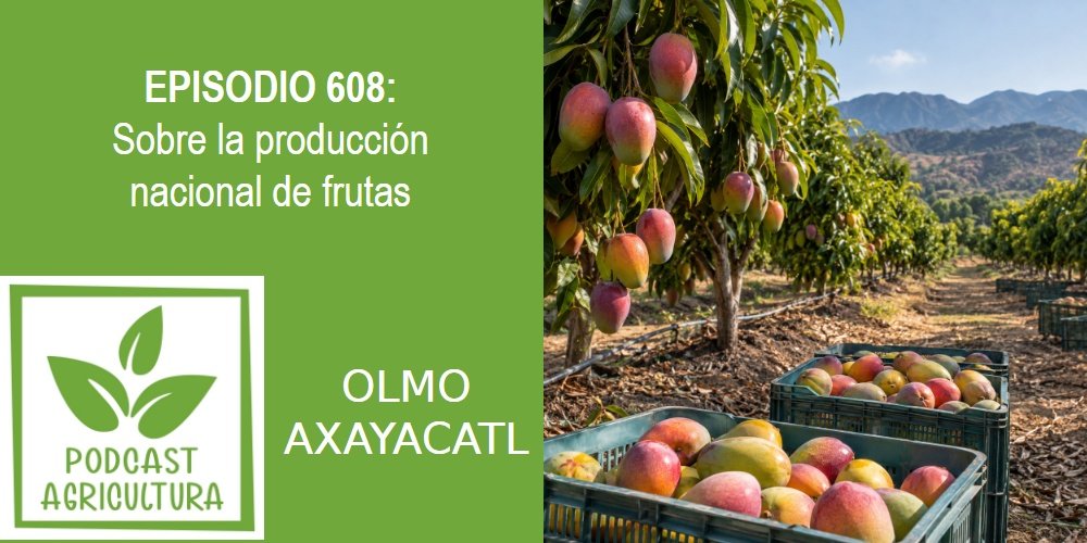 Episodio 608: Sobre la producción nacional de frutas