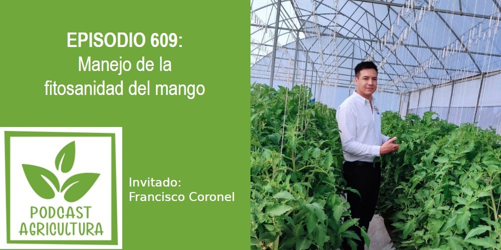 Episodio 609: Manejo de la fitosanidad del mango con Francisco Coronel