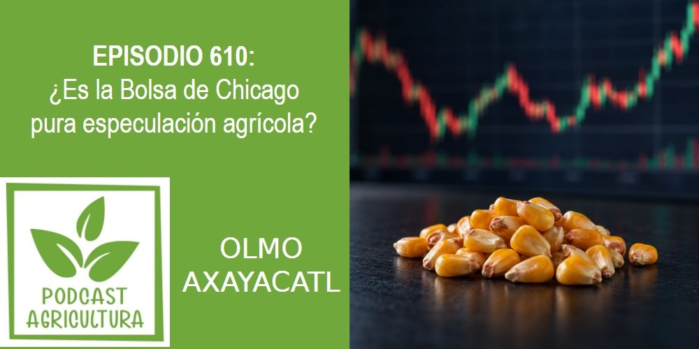 Episodio 610: Es la Bolsa de Chicago pura especulación agrícola