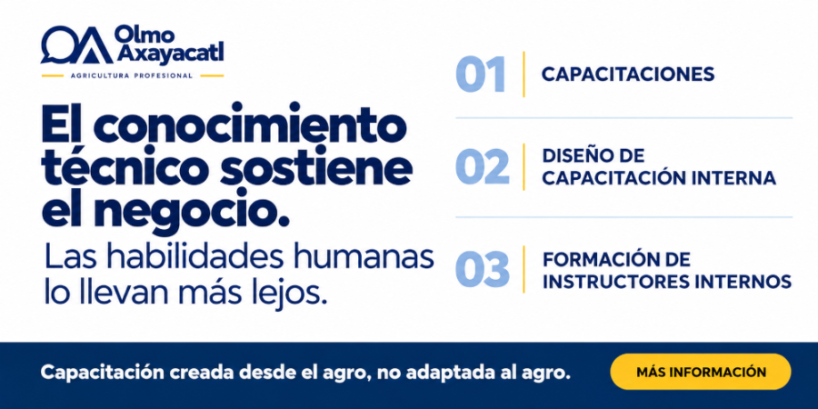 Imagen de Olmo Axayacatl